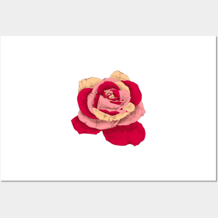 Rose Posters and Art